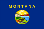 MT state flag